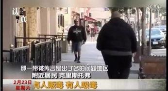 美国华人圈爆料事件视频,揭秘背后真相