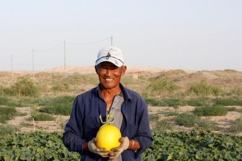 武威免费吃瓜,畅享清凉夏日好时光 第2张 武威免费吃瓜,畅享清凉夏日好时光 第2张