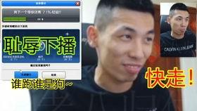 哈哥被爆料视频播放全集,真相与争议交织