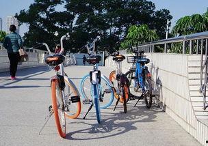 深圳共享单车爆料视频,一窥城市绿色出行背后的真相